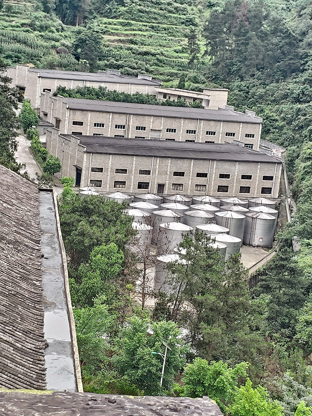 廠區美景